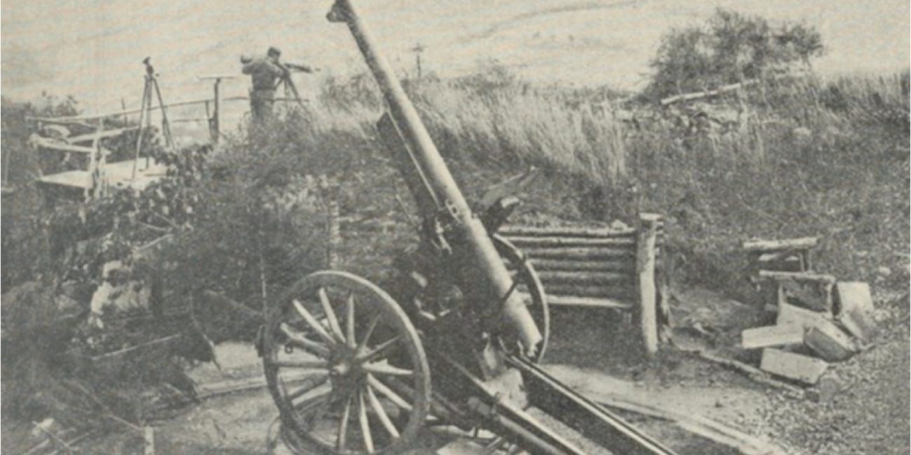 French Field Guns in German Service