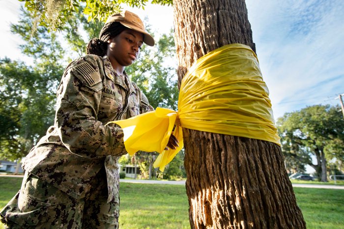 Personnel Spc. Seaman Jenesis Fabian, assigned to Naval Station Mayport, ties a yellow ribbon around a tree at Mayport Memorial Park in recognition of Suicide Awareness Month.