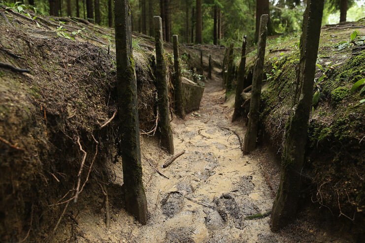 World War I-era trench in the forest floor