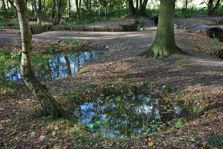 Water-filled craters and World War I-era trenches at Sanctuary Wood