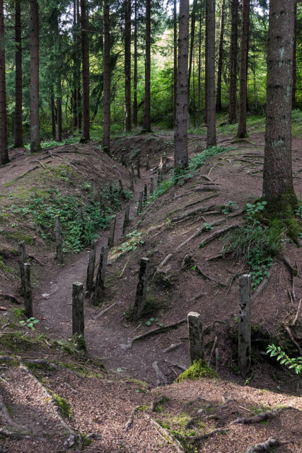 Communications trench running through the forest